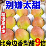 棠鲜生新疆库尔勒香梨全母梨子新鲜孕妇水果整箱10斤特级大果多汁 5斤 爆甜多汁[特大果]精选商超品质