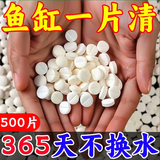 鱼缸长效净水片净水剂除臭去腥大苏打自来水养鱼水困水硝化细菌 养鱼大牌回馈: 100片 1瓶