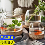 迪普尔玻璃鱼缸生态缸桌面溪流缸迷你金鱼缸小型水族箱斗鱼缸养鱼缸* 大号15*10cm【裸缸-不含鱼】