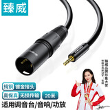 臻威（ZHENWEI）3.5转卡农公线 20米 无线电容公对公音频线 麦克风接电脑声卡 调音台线 话筒线