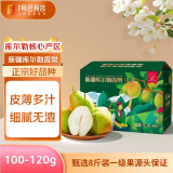 趣尝鲜新疆库尔勒香梨 一级 单果100-120g 8斤装 生鲜水果 源头直发