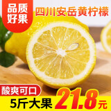 京愿 四川安岳黄柠檬  新鲜柠檬鲜果新鲜水果生鲜当季皮薄多汁大果 5斤 大果
