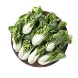 有机奶白菜 250g