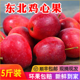 菓灵稥【现货】东北鸡心果小苹果锦绣海棠果沙果新鲜水果甜脆 5斤中果 试吃尝鲜装 商超品质