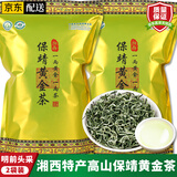均尚保靖黄金茶2026新茶湖南湘西高山绿茶 一两黄金一两茶 茶叶自己喝 【明前嫩芽】 250g*2袋 保靖茶黄金茶