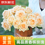 京东鲜花蜜桃雪山玫瑰花10枝山东基地香槟玫瑰七夕枝长40cm源头直发