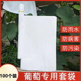 极景葡萄袋子防虫防鸟防水果袋套袋专用通用纸袋 20*28厘米【100个】