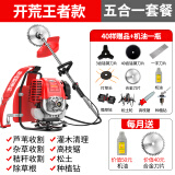 达瓦（DAWA）德国动力技术割草机除草机打草机四冲程汽油机水稻收割机电动农具 背负式（割草+双轮+种植+高枝锯