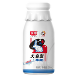 光明一只椰子椰汁奶大白兔奶糖牛奶巧克努力含乳饮品250ml/瓶低温饮品 大白兔牛奶250ml*8瓶