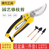 得力（deli）果树剪刀剪枝剪刀修枝剪省力剪子园林盆栽花卉园艺修剪树枝剪粗枝 弯嘴花木剪DL2770