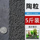 大匠神彩鱼缸底砂鱼缸造景雨花石沙石头装饰铺底石鹅卵石溪流石雨林沙底沙 5斤装 天然陶粒2-3mm