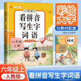 汉之简 小学生六年级上册看拼音写词语练字帖生字注音语文课本同步专项训练 习字本写字练习册彩绘版