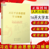 习近平法治思想学习纲要 16开大字本