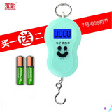 永彩（YONGCAI）手提秤电子秤弹簧秤挂钩秤称菜快递吊秤便携式称重行李称高精度秤 普通款手提(颜色随机）