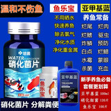 鱼用亚甲基蓝鱼缸消毒杀虫灭菌鱼病白点烂身烂尾水霉净水观赏鱼药 亚甲基蓝500ml＋硝化细菌片1瓶＋鱼乐宝1瓶