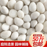 大海边【12仓速发】50斤鹅卵石铺路铺地庭院园林造景天然大小鱼缸雨花石 【50斤装精抛白色】1.0-2.0cm