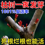 怡家彤乐死树枯树再生剂植物复活液强力生根壮苗发芽剂生根营养液快速发根 【焕发生机】 500ml 3瓶