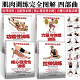 肌肉训练完全图解 全4册 力量与体能训练+拉伸训练+核心性训练+功能性训练 运动减肥书