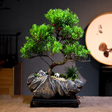 自然空间赤楠盆栽绿植盆景 日照金山造型赤楠+225座+马+2营养液 源头直发