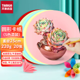 天章 （TANGO）五色圆卡纸220g 直径25cm 硬卡纸手工DIY折纸剪纸 圆纸彩铅 儿童美术画纸 混色圆卡纸 20张/包