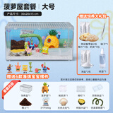 Barbarous Growth爬宠亚克力饲养盒爬虫守宫寄居蟹箱蜥蜴蛇角蛙蜘蛛蜗牛甲虫生态缸 寄居蟹造景套餐 系列四