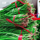 北蔬 蔬菜种子大全品种阳台四季播种菜籽 批发家庭种植农科院种子冬季 紫根韭菜种子10g/袋