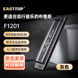 东方鼎（EAST TOP）EASTTOP 蓝调12孔FALA布鲁斯口琴灰色F1201 