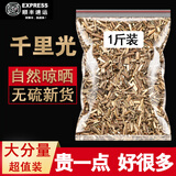 临世堂500g千里光中草药中药新鲜干货九里明九里光野洗眼水洗澡泡澡 千里光500克
