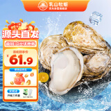 乳山牡蛎【源头直发】鲜活乳山生蚝2XL号 海鲜烧烤食材 净重5斤装 18-25只