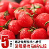 莱财多千禧果圣女果小番茄西红柿子新鲜蔬菜不是海南水果生吃现摘现发