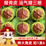 青皮文玩核桃把玩核桃官帽四座楼磨盘蛤蟆头核桃精品宝宝核桃文玩 发4个】官帽四座楼50-54mm送工具