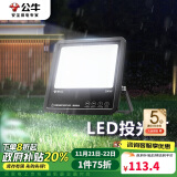 公牛（BULL）LED投光灯庭院灯工地灯园林照明露营灯 IP65防水100W-6500K白光