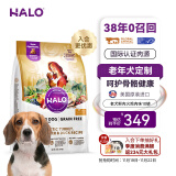 自然光环Halo【老犬鲜肉】进口狗粮老年犬泰迪金毛柯基拉布拉多比熊专用 老犬火鸡10磅4.5kg-效期25.11起 下单抽奖·满赠好礼~详情请入会