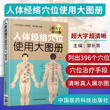 人体经络穴位使用大图册 全彩大字大图中医养生人体经络穴位图解书 中医推拿按摩学书籍手法 人体穴位图解大全书经络穴位书 中医针灸艾灸穴位治疗穴位敷贴养生保健自我养护速查参考书 中国医药科技出版社