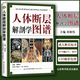 正版 人体断层解剖学图谱(精) CT人体断层局部解剖影像学 人体解剖学断面解剖学图谱 刘树伟主编 山 人体断层解剖学图谱