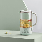 北鼎（Buydeem）多功能养生壶 迷你煮茶壶 家用保温壶 便携煮茶器 全玻璃恒温烧水壶 一体式花茶咖萃取壶 节日送礼 【单壶】浅杉绿K31F| 0.6L