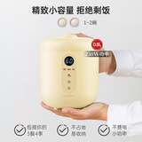 大宇（DAEWOO） 大宇电饭煲小 小型家用智能预约韩国电饭煲迷你电饭锅小便携宿舍1-2人 升级款Pro 奶酪黄 0.8L FB08L宝宝辅食