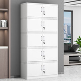 常晟（CHANGSHENG） 文件柜办公室柜钢制铁皮柜资料柜档案存放柜财务室文件柜带锁 分五节档案柜 经济款