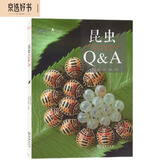 昆虫Q&A（自然观察丛书）