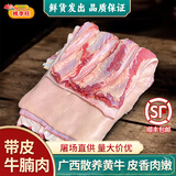 桃李旺新鲜带皮牛肉 广西散养带皮肚腩肉活杀牛腩肉正宗带皮黄牛肉肚腩 5斤