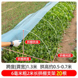 时光旧巷小拱棚支架杆蔬菜拱棚骨架育苗菜棚花棚玻璃纤维杆弹力棒农用大棚 6毫米粗2米长【20根】