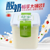 新疆天润益家酸奶1kg/2kg方桶酸奶可DIY水果捞酸奶全脂风味发酵乳 2kg