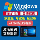 win10win11专业版激活密钥秘钥windows11激活码家庭正版系统激活 win10专业版 （无限重装） 24小时自动发货