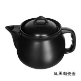 竹水溪 养生壶配件陶瓷煎药锅熬药罐大容量中药壶煎药壶家用全自动 5L黑陶药壶