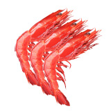 海万鲜 深海红魔虾 国产网红胭脂虾 绯红刺身虾西班牙魔鬼虾500g 大号 9-12条/盒