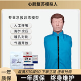 欧因心肺复苏模拟人 急救训练人体模型心肺复苏教学假人 静态模型 半身精简款
