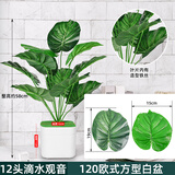 双盟12头仿真滴水观音盆栽人造绿植盆栽假花家居装饰欧式装饰可塑造型