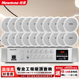 纽曼（Newmine）5英寸吸顶音响套装定压功放机公共广播系统吊顶家用客厅会议背景喇叭组合音箱一拖二十