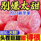 【爆甜头茬】陕西红富士苹果正宗当季脆甜应季冰糖心新鲜水果薄皮 精选中果【果径60-70mm】 【净重8斤装】