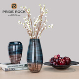 傲石 水养透明玻璃花瓶客厅插花轻奢高端大气现代简约餐桌装饰摆件 蓝黑丝-高款(高32cm)